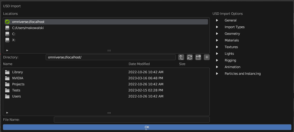 The NUCLEUS USD Import Dialog